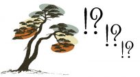 Có luật lệ cho tạo hình bonsai?